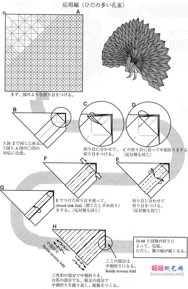 孔雀开屏折纸图解教程