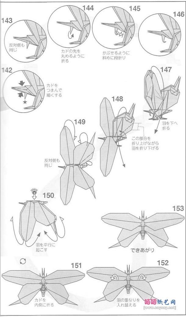 目黑俊幸燕尾蝴蝶折纸教程图解-高级教程