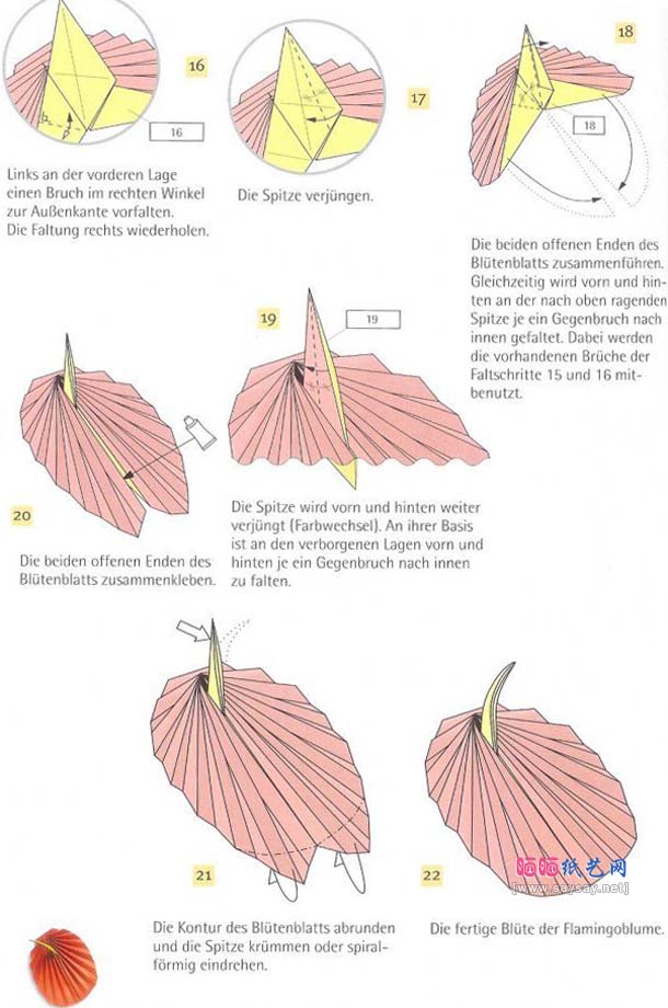 火鹤花flamingoblume折纸教程图解-红掌折纸