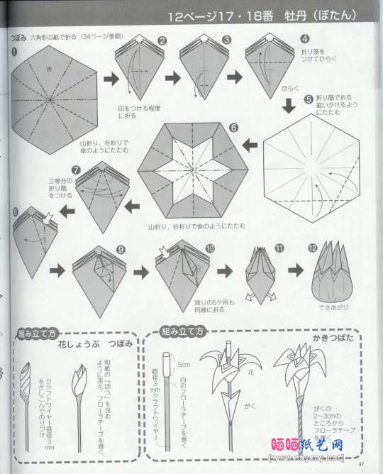 牡丹手工折纸教程图解