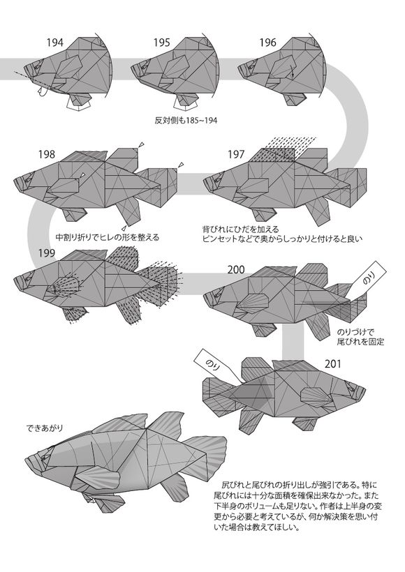 Takuro Kashiwamura的石斑鱼折纸祥细步骤17