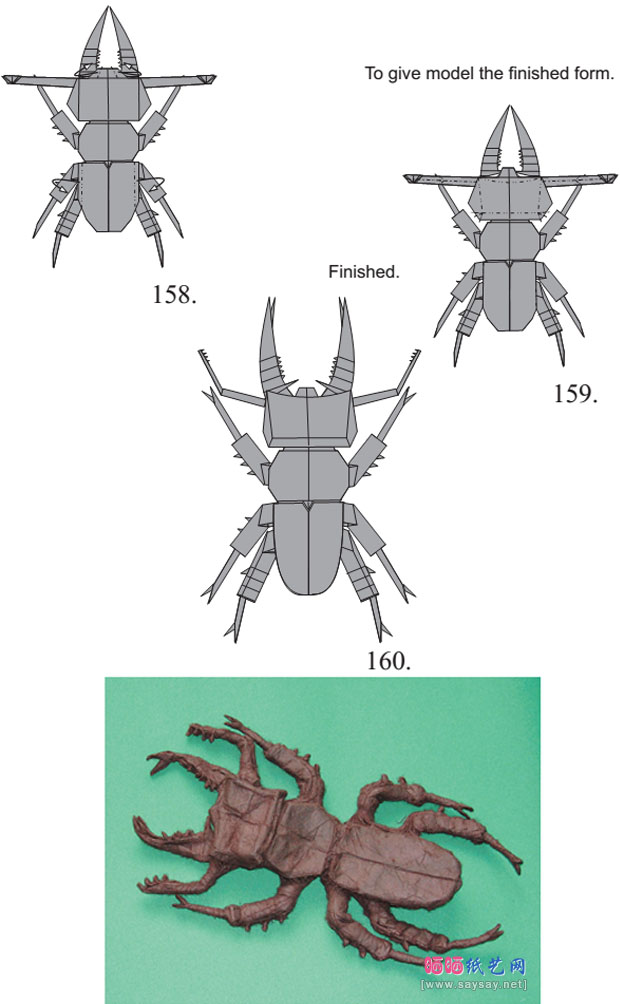 姬深山锹形虫手工折纸教程图解具体步骤18