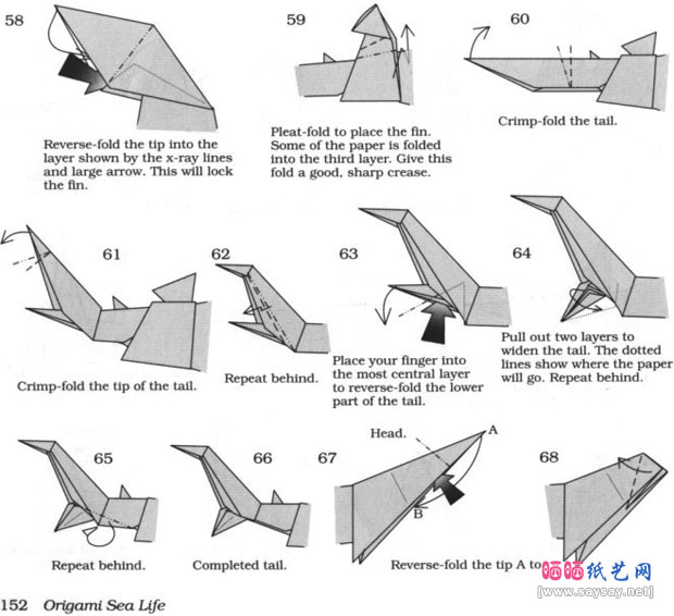 RobertJLang的鲨鱼折纸教程图片步骤5