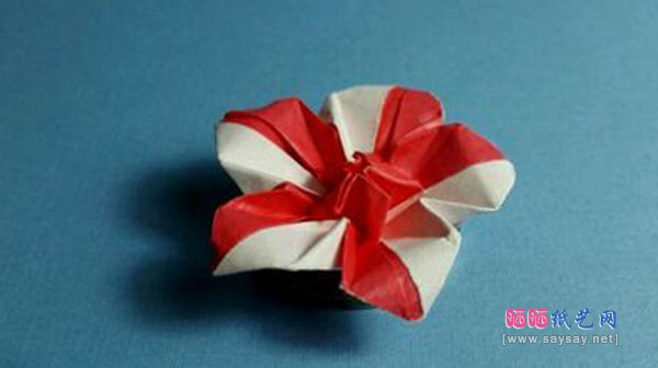 精致双色糖果花（CANDY FLOWER）的折法教程成品图