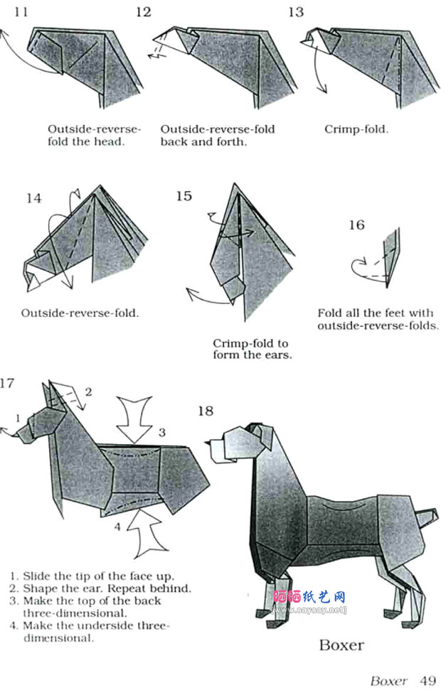JohnMontrol拳师犬手工折纸图解教程