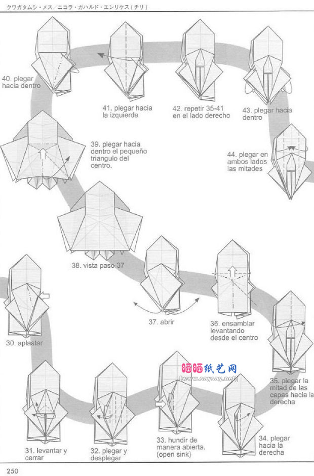 雌性深山锹形虫折纸图谱教程