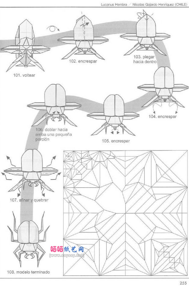 雌性深山锹形虫折纸图谱教程