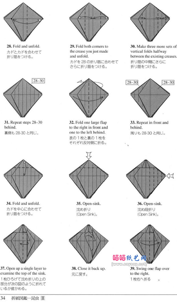 RobertJLang的手工折纸狼蛛的折法图谱教程图片步骤4