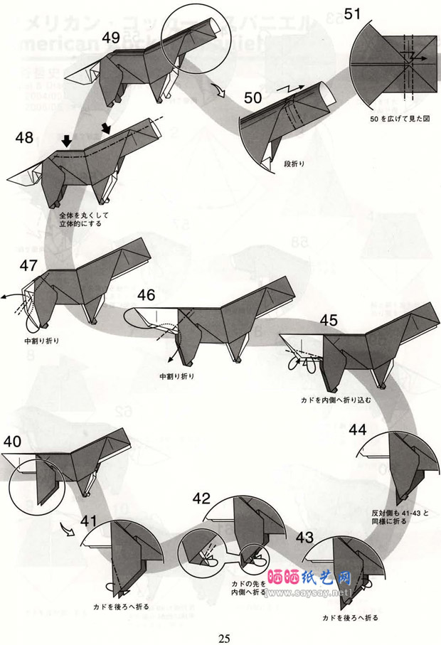 神谷哲史折纸教程纸艺黄金猎犬的折法图片步骤4