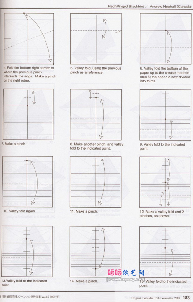 美洲红翼鸫手工折纸实拍教程图片步骤2