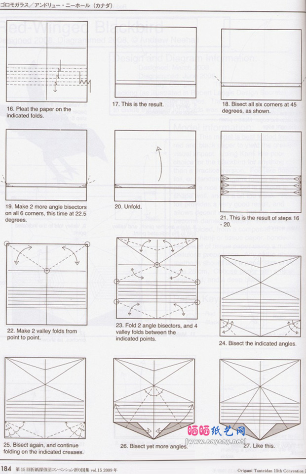 美洲红翼鸫手工折纸实拍教程图片步骤3