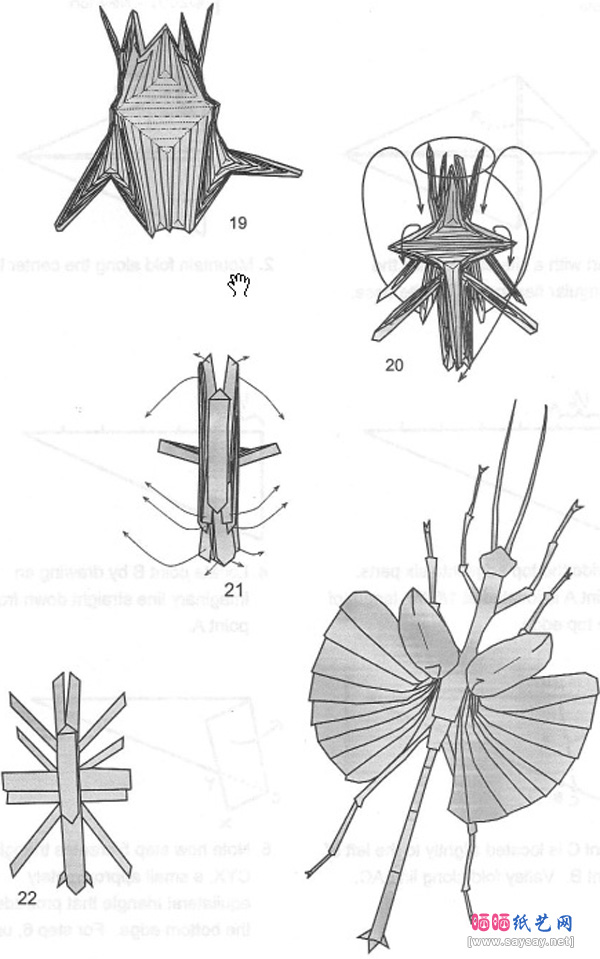 飞行竹节虫手工折纸教程步骤6-www.saybb.net