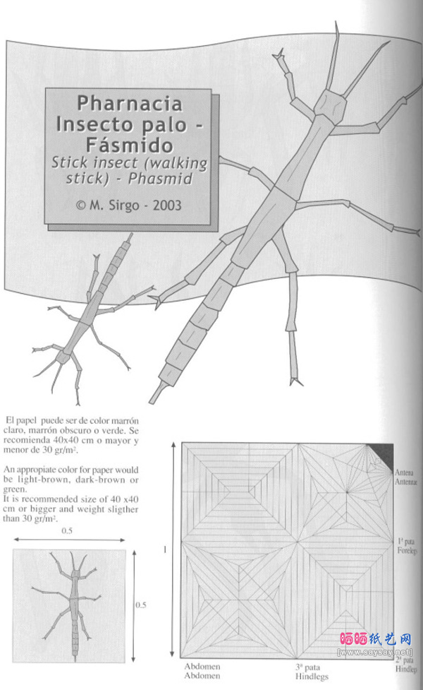 飞行竹节虫手工折纸教程步骤9-www.saybb.net