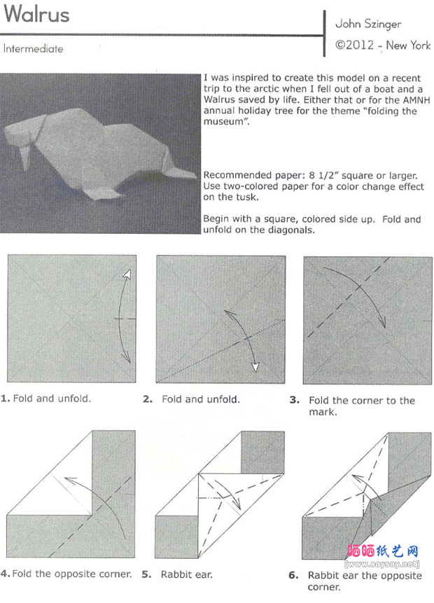 JohnSzinger的海象手工折纸图谱教程步骤1-www.saybb.net